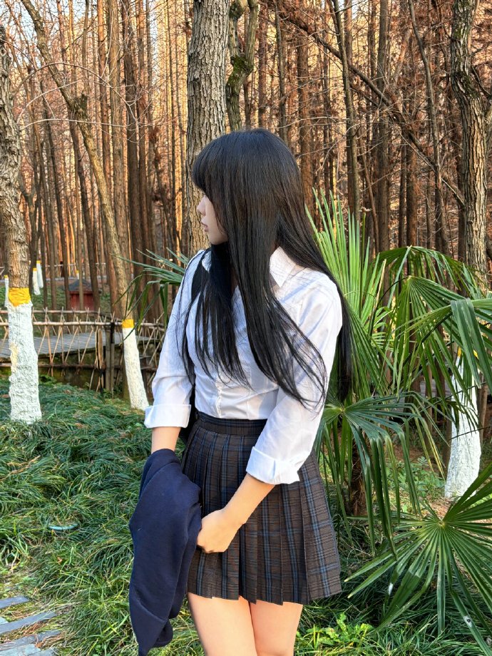 甄嬛传 封面